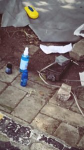 AA559E88-3961-412F-AF52-766BBA625903